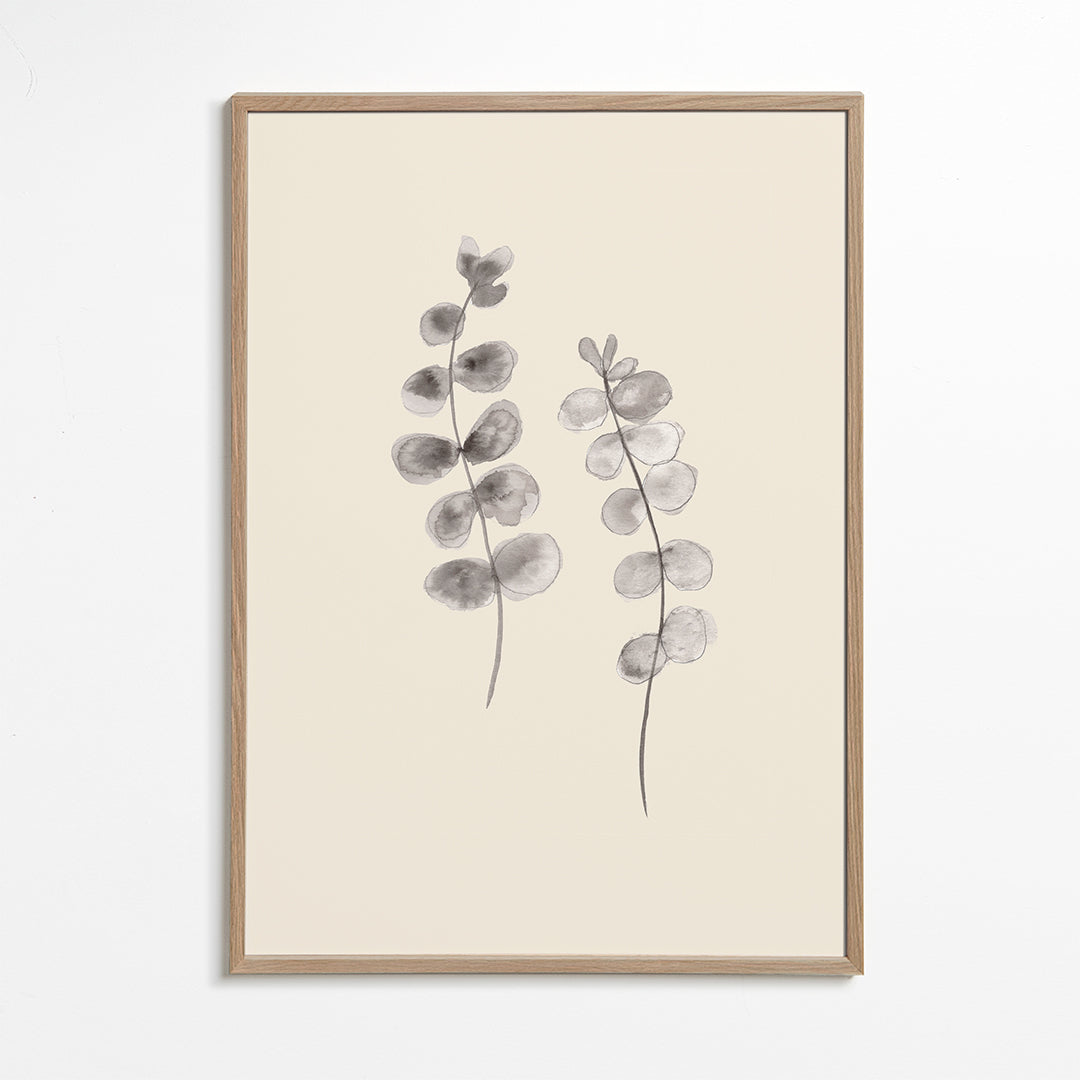 Eucalyptus Twigs - 1x Studio