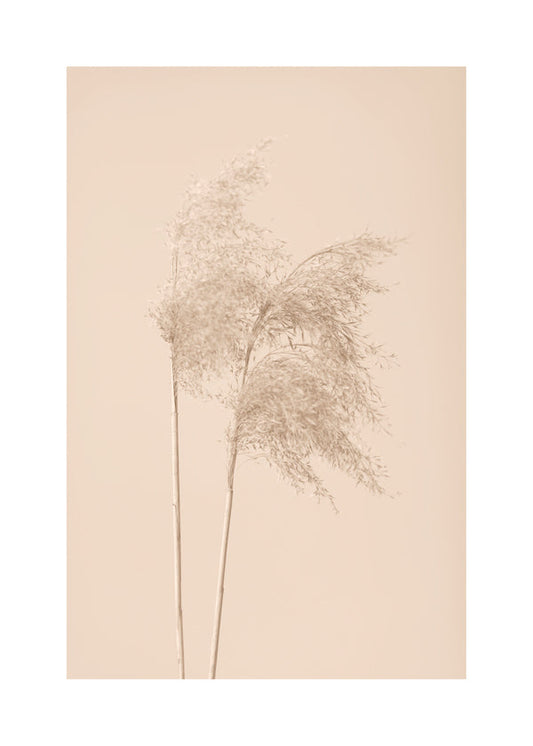 Reed Grass Beige 02 - 1x