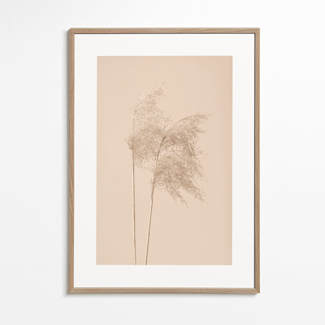 Reed Grass Beige 02 - 1x