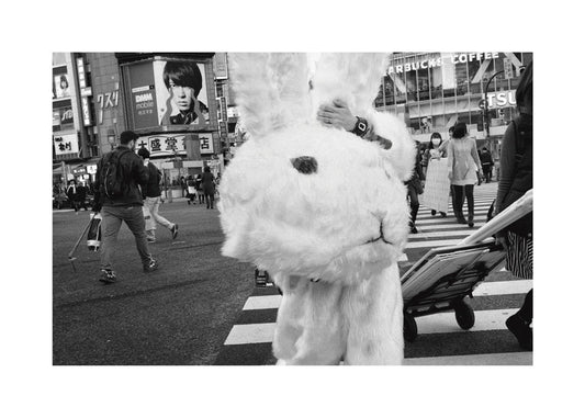 Untitled - Tatsuo Suzuki