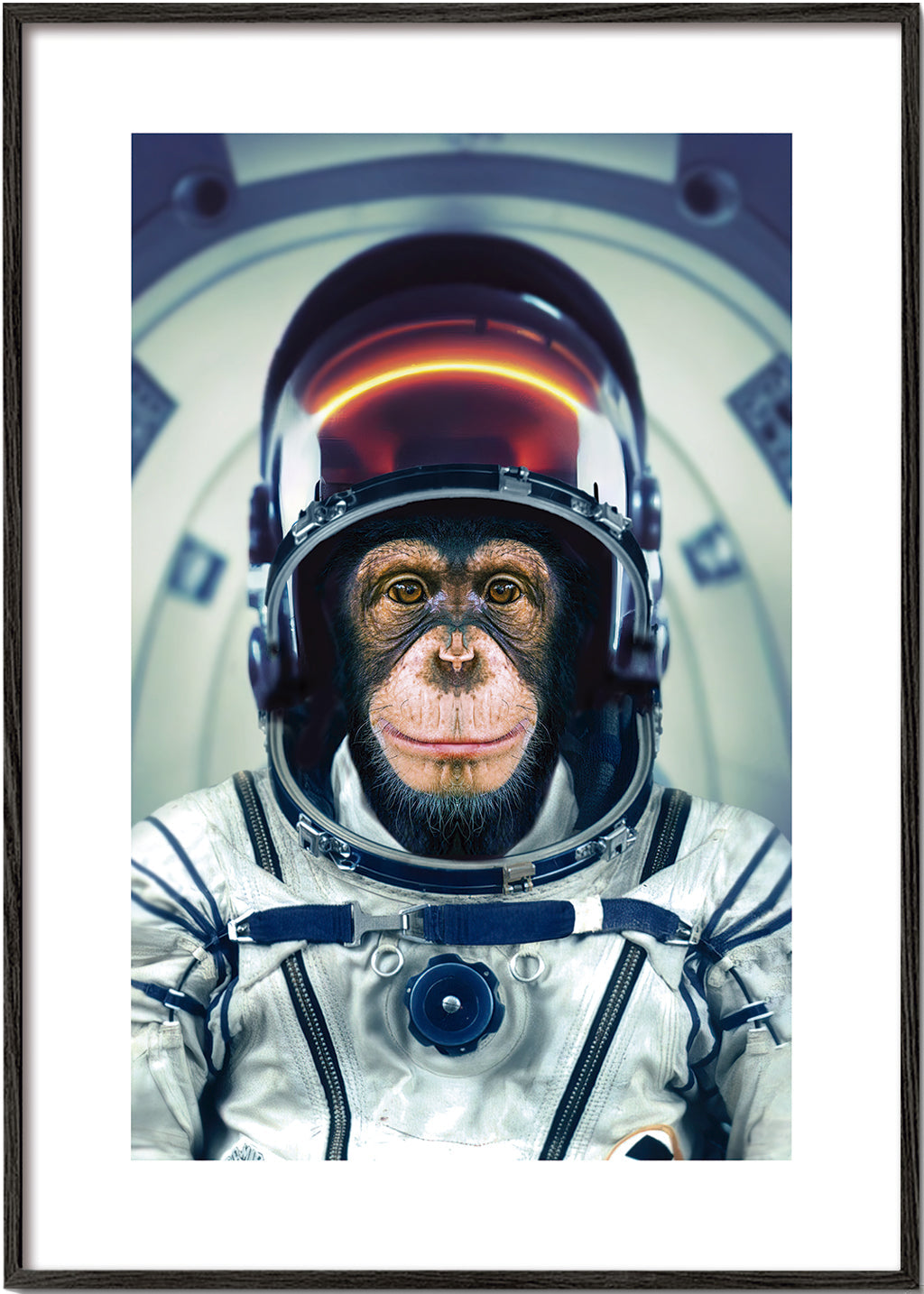 AstroMonkey - Marcel Egger