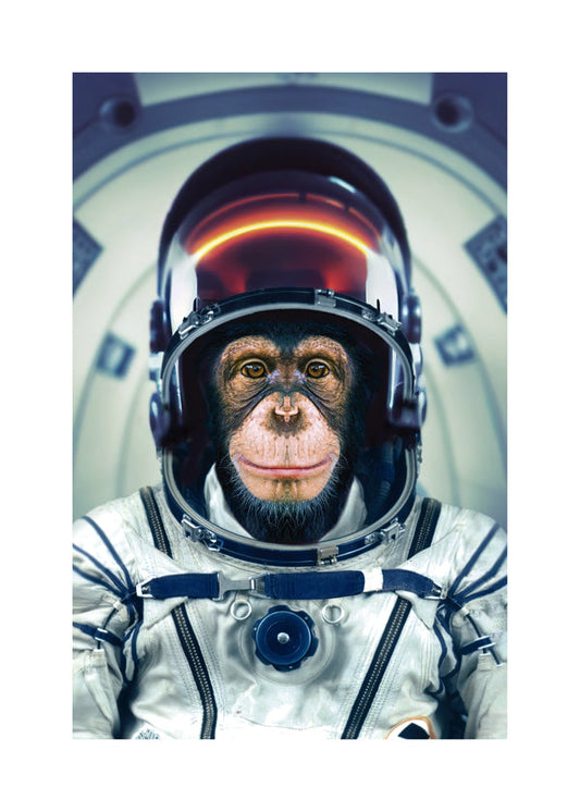 AstroMonkey - Marcel Egger