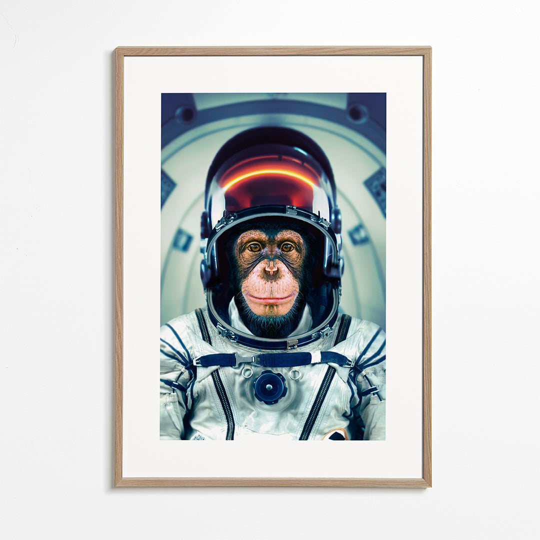 AstroMonkey - Marcel Egger