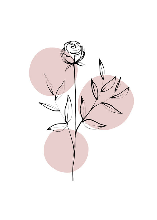 Wild rose