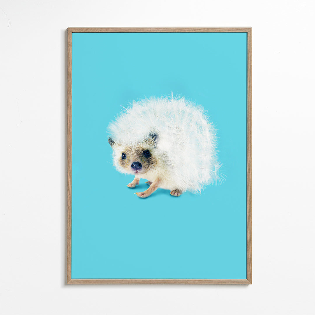 Prickly Like Dandelion