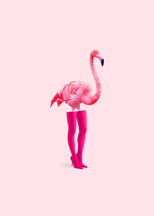Flamiciaga