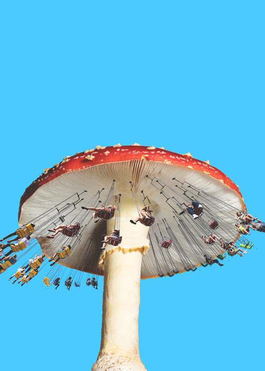 Amanita Carousel