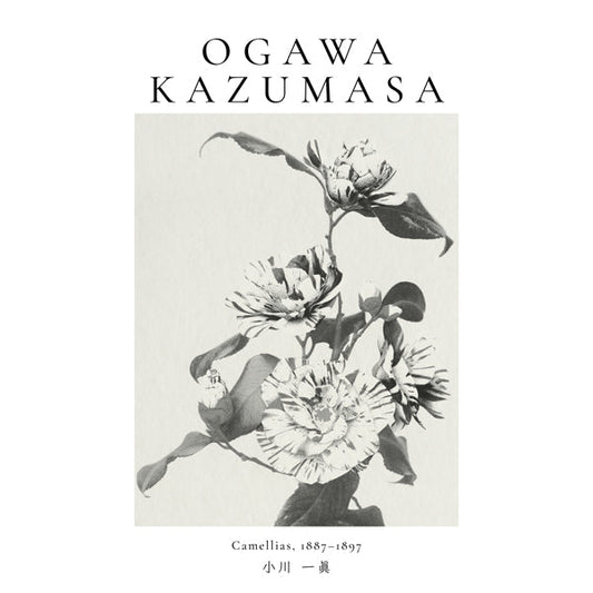 Striped camellias remix by Ogawa Kazumasa - Square